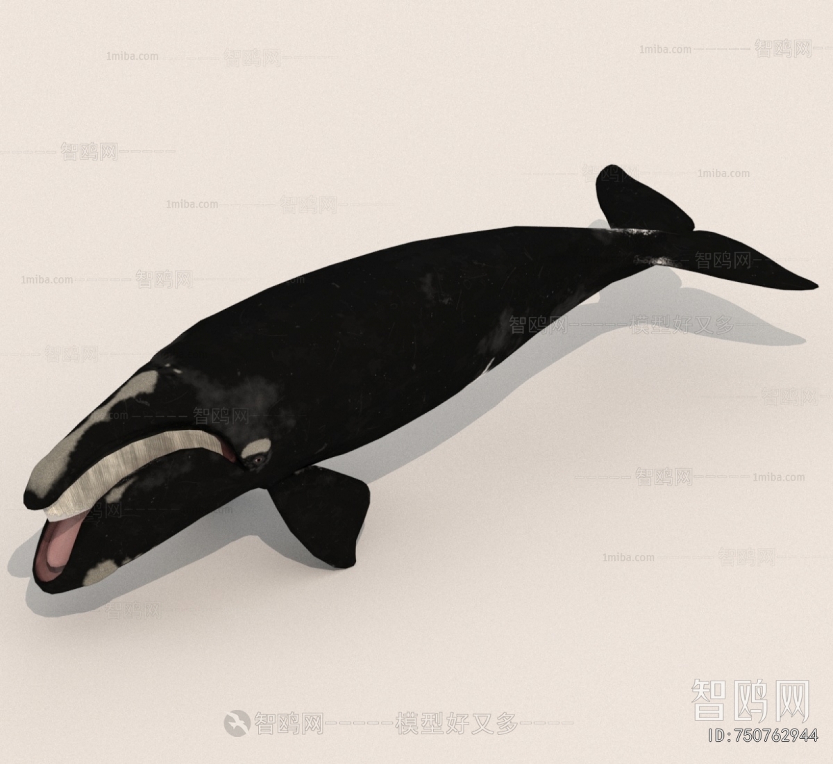 Modern Aquatic Animals