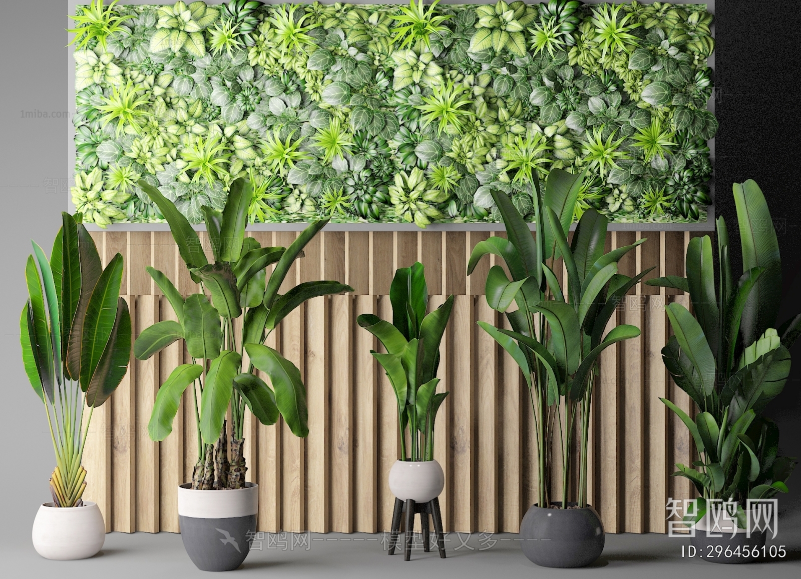 Modern Ground Green Plant Potted Plants