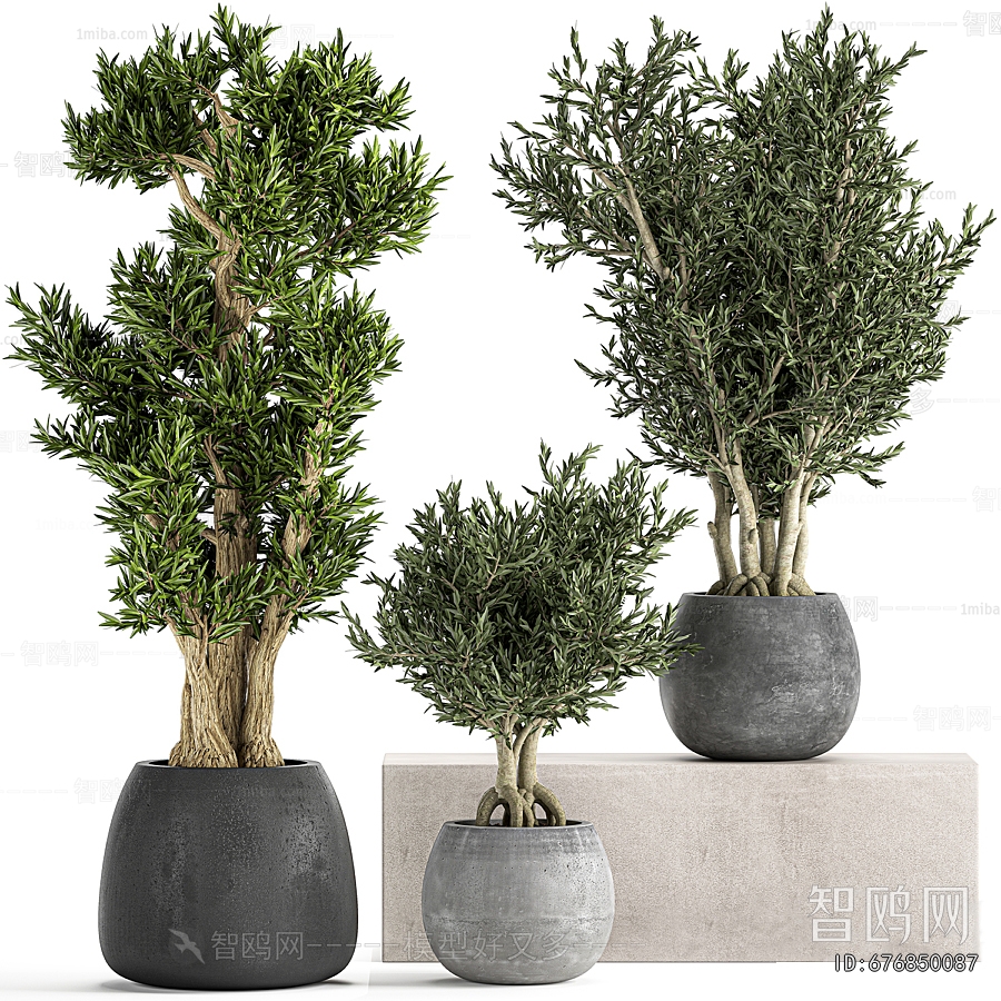 Modern Ground Green Plant Potted Plants
