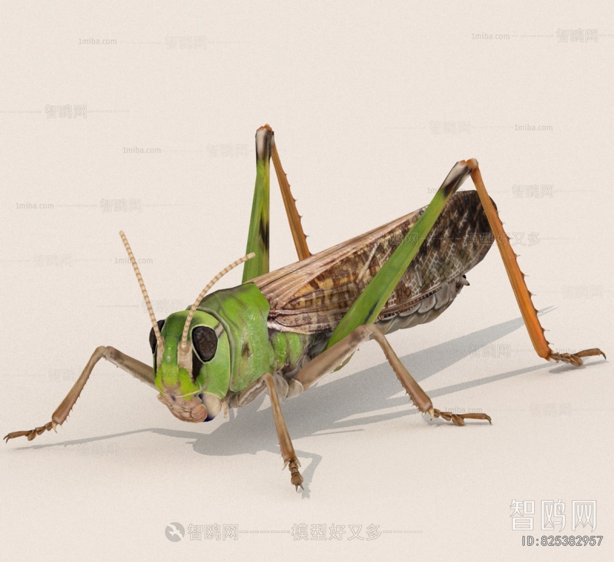 Modern Other Animals