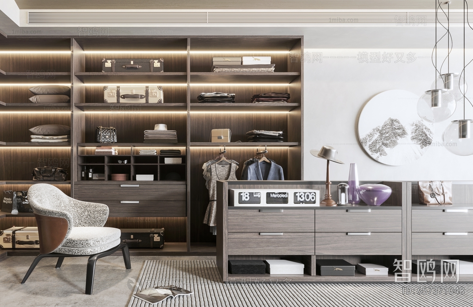 Modern Clothes Storage Area