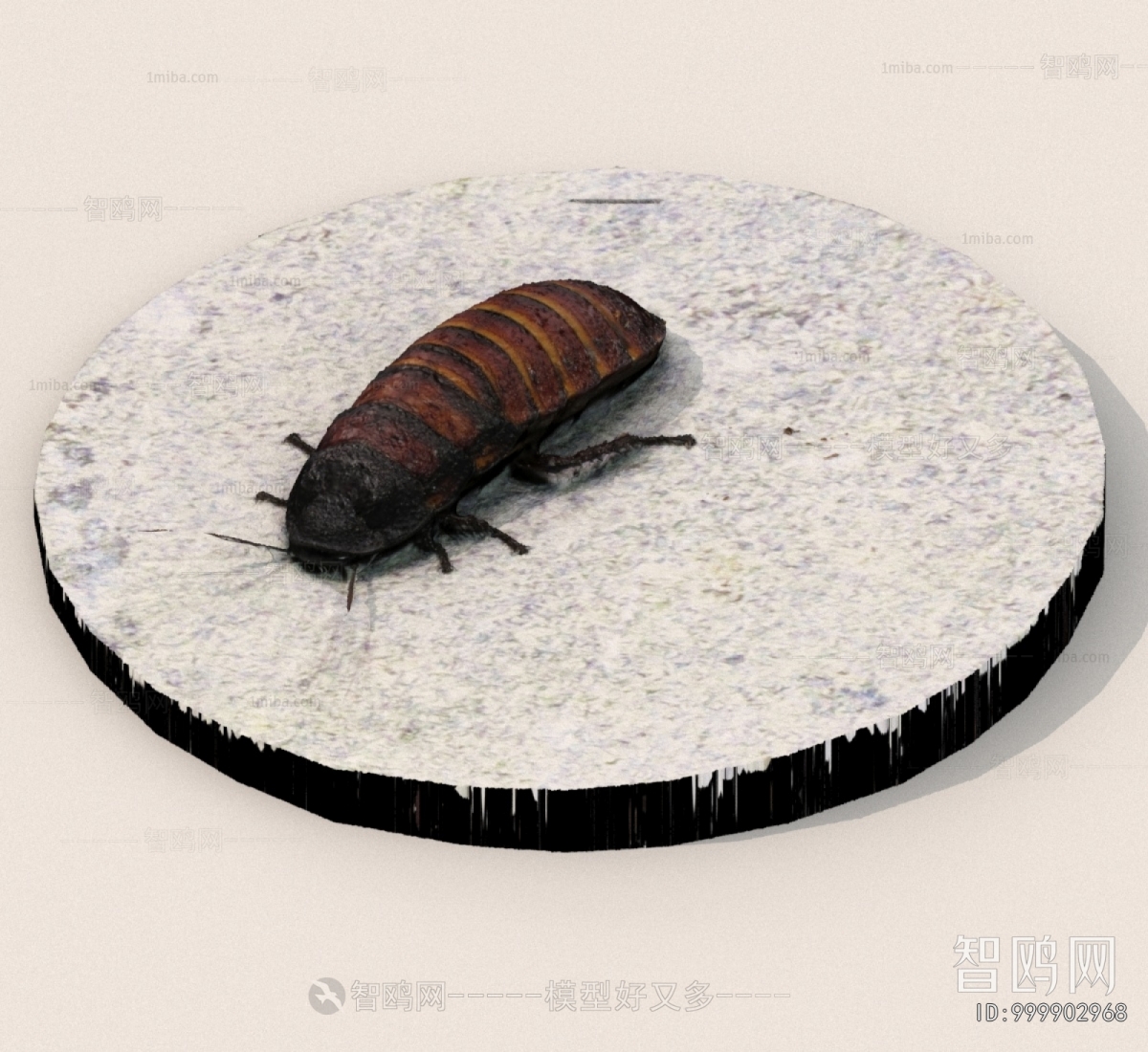 Modern Other Animals