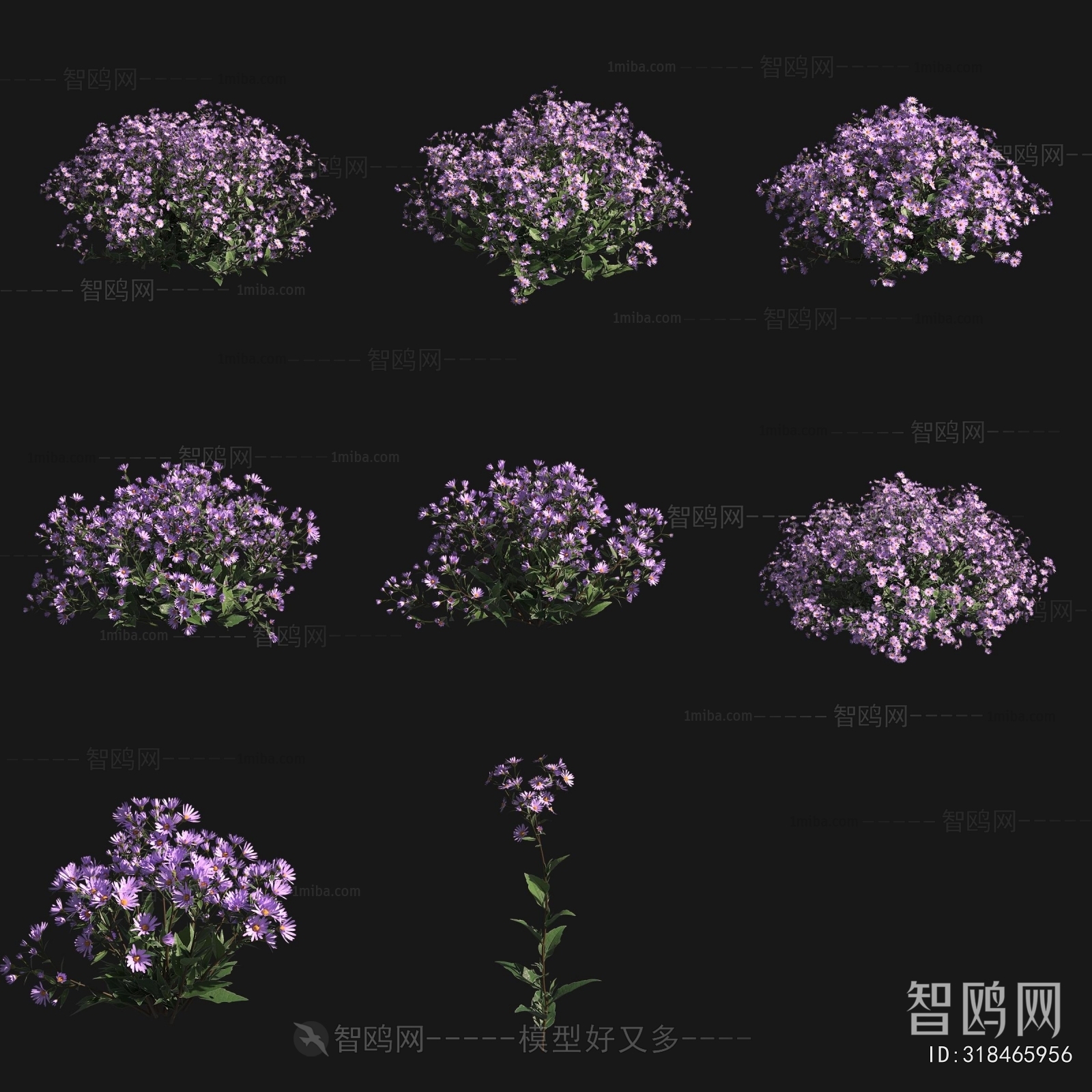 Modern Flowers And Grass