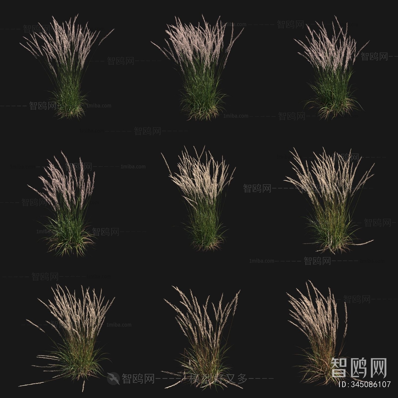 Modern Flowers And Grass