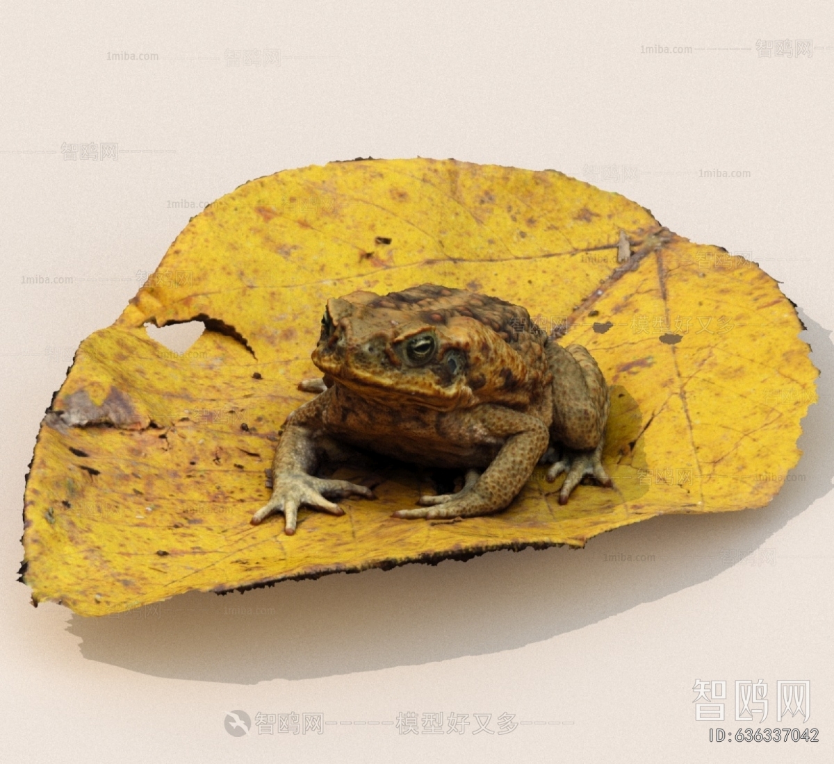 Modern Other Animals