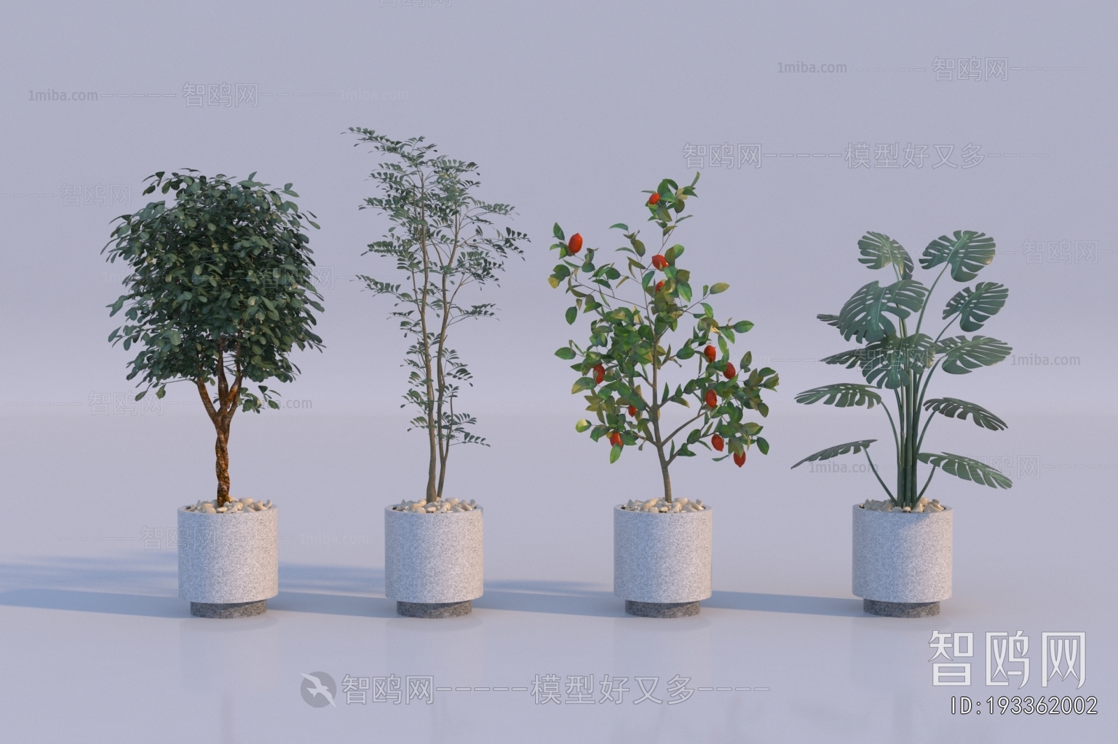 Modern Ground Green Plant Potted Plants
