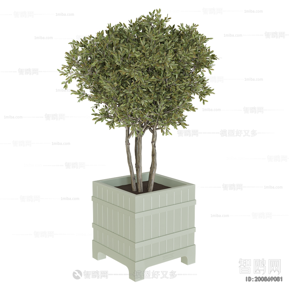 Modern Ground Green Plant Potted Plants