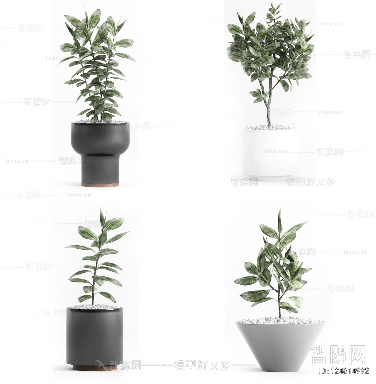 Modern Potted Green Plant