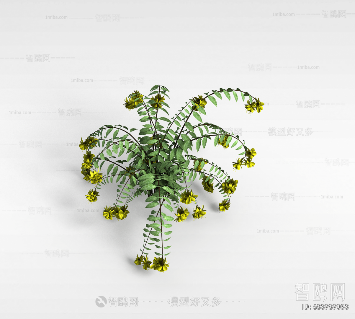 Modern Flowers And Grass