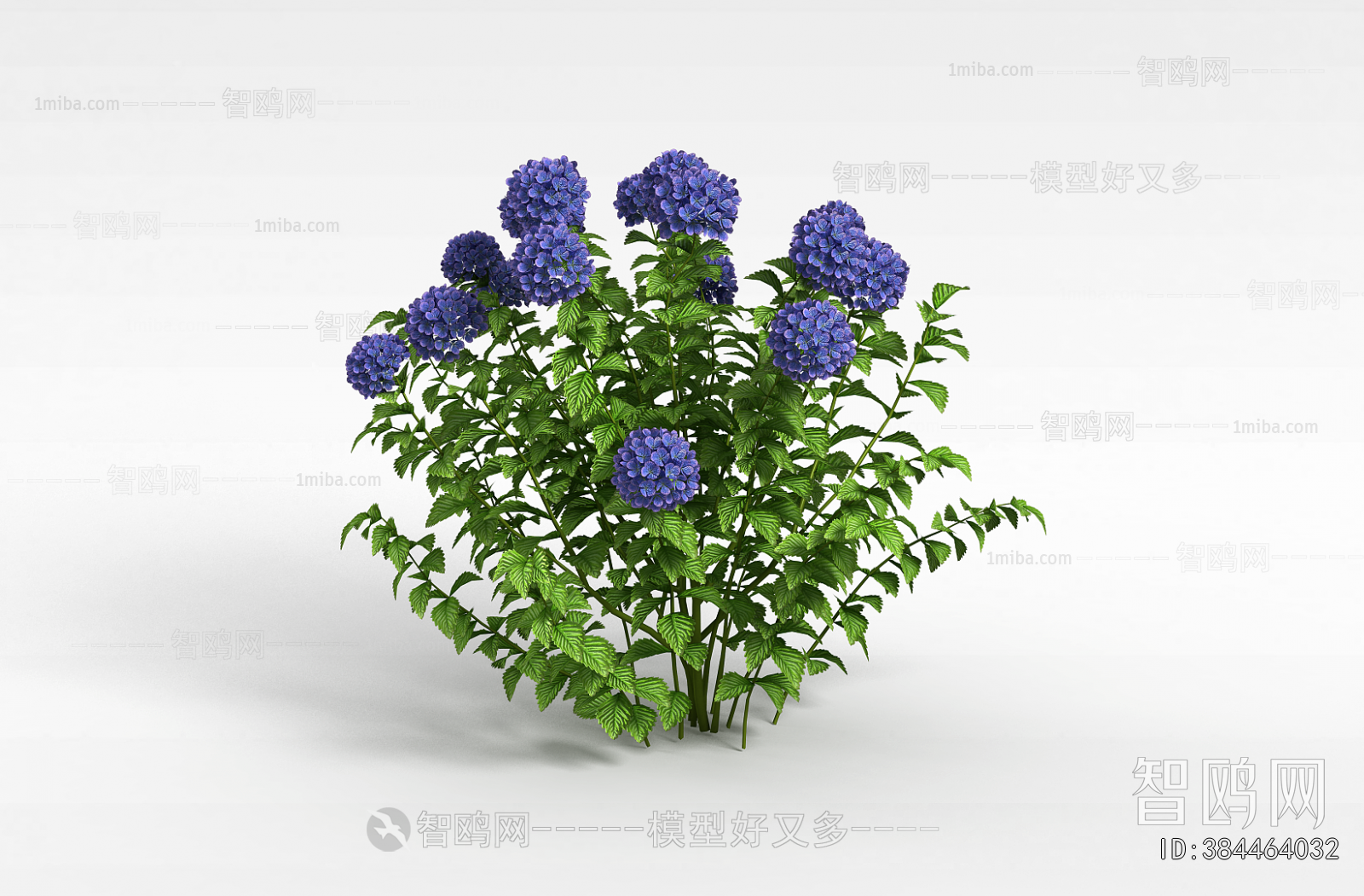 Modern Flowers And Grass