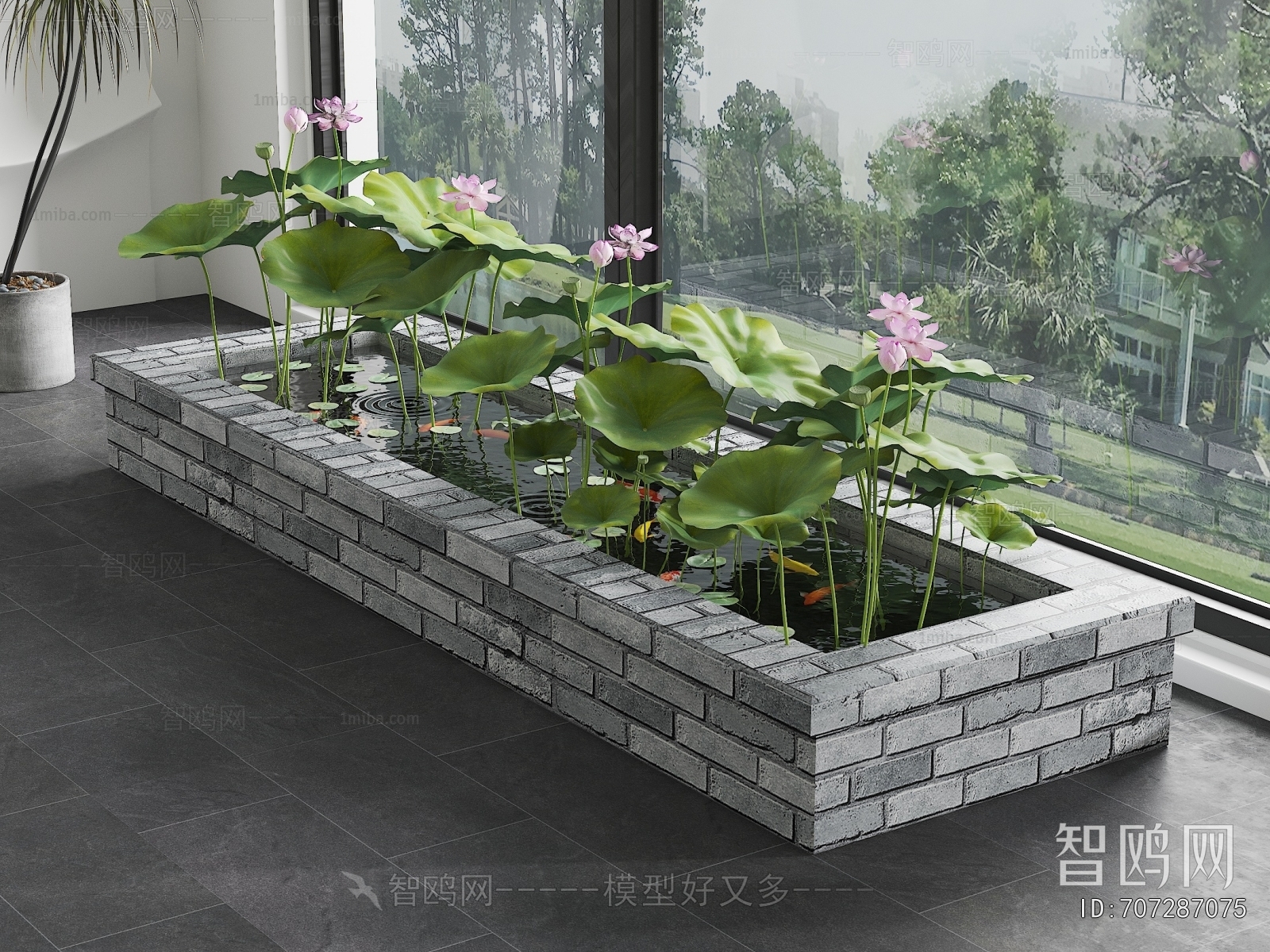 现代荷叶锦鲤池