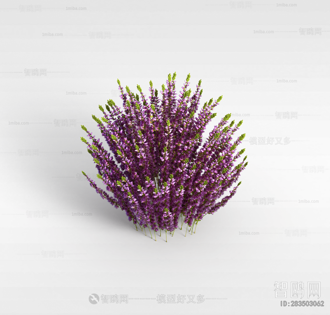 Modern Flowers And Grass