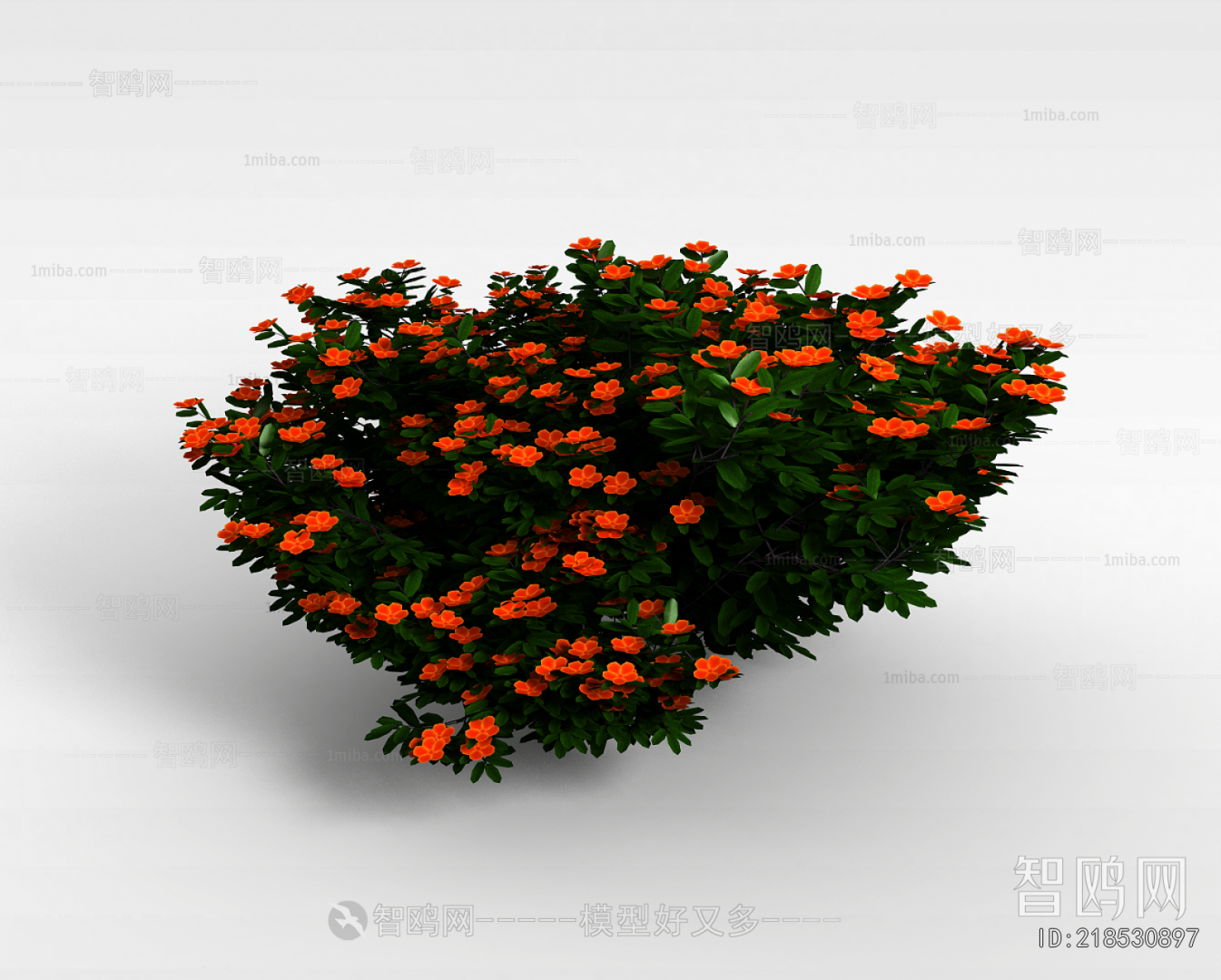 Modern Flowers And Grass