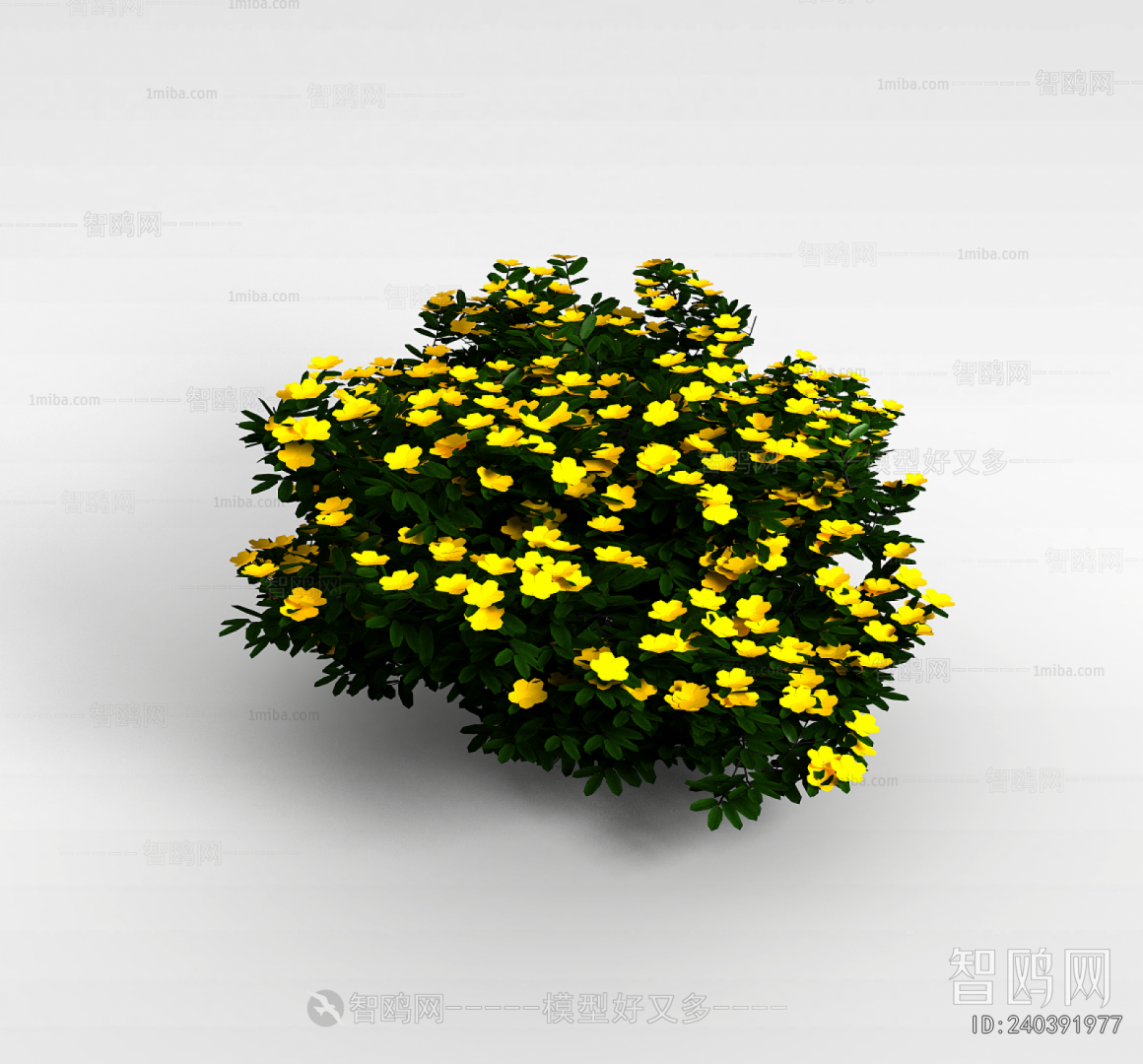 Modern Flowers And Grass