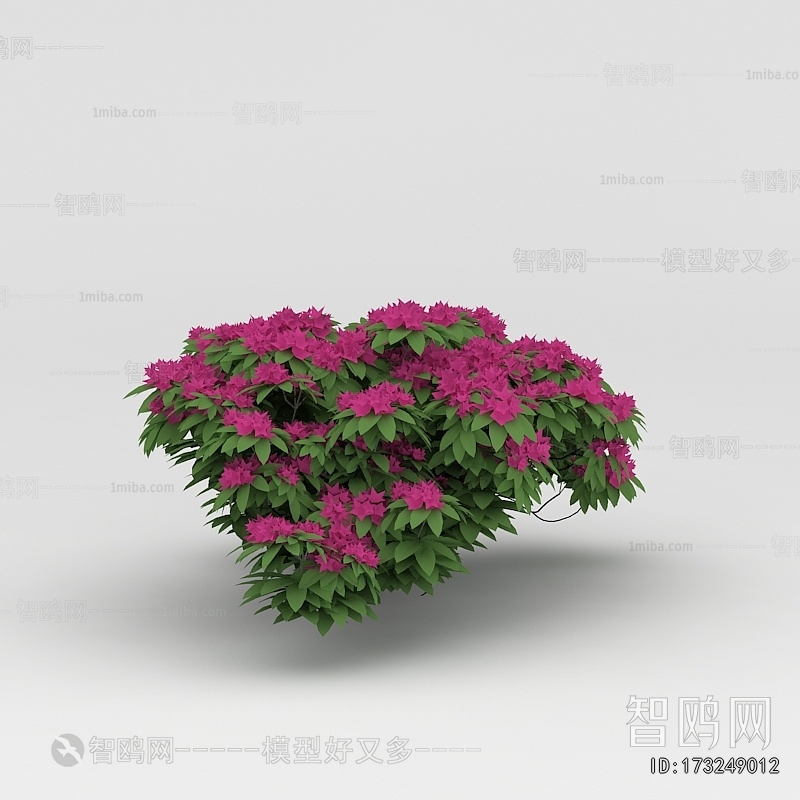 Modern Flowers And Grass