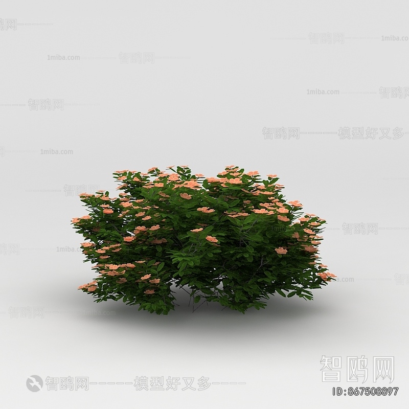 Modern Flowers And Grass