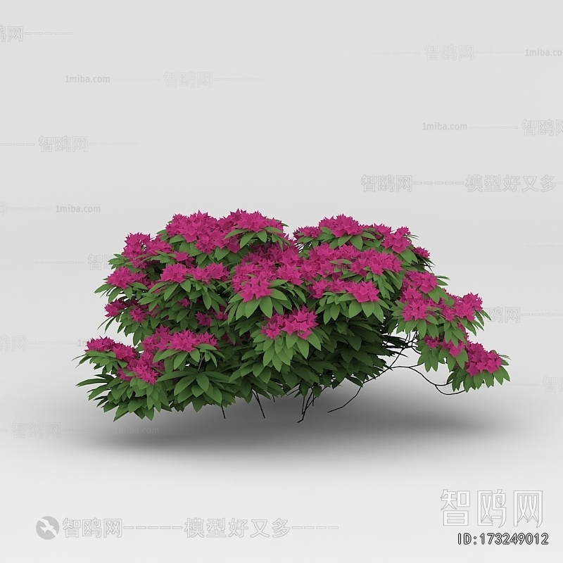 Modern Flowers And Grass