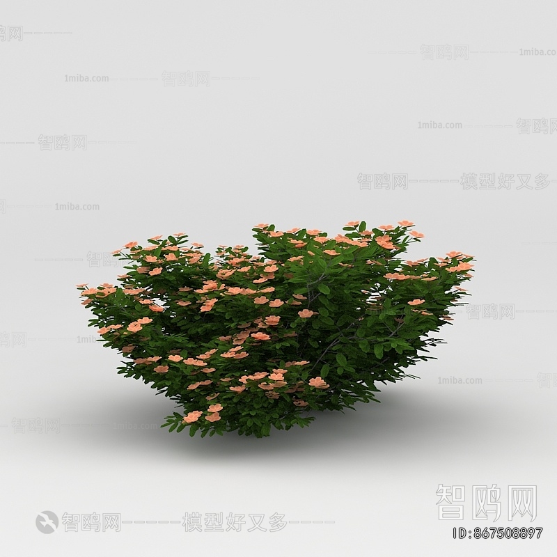 Modern Flowers And Grass