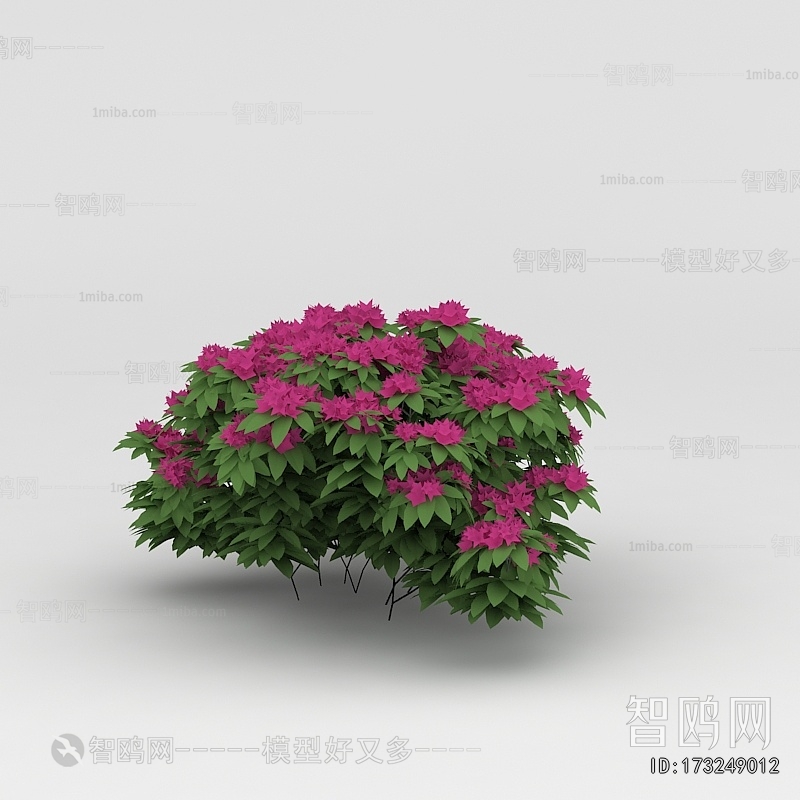 Modern Flowers And Grass