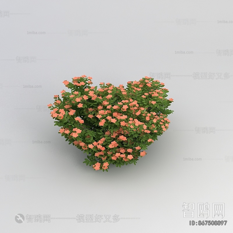 Modern Flowers And Grass