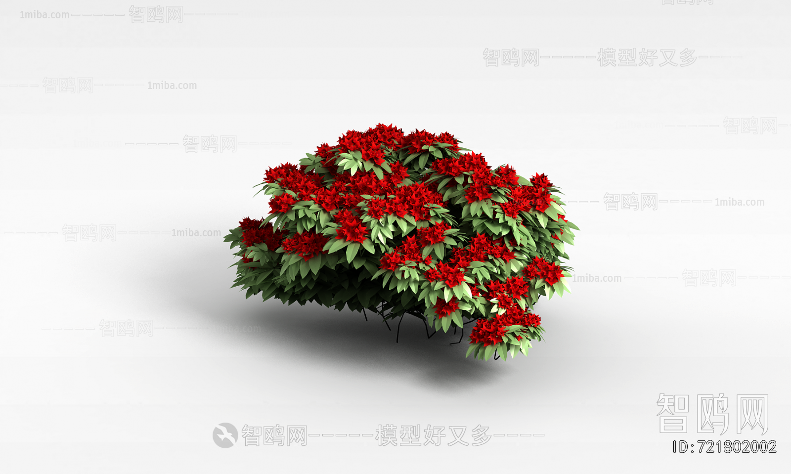 Modern Flowers And Grass