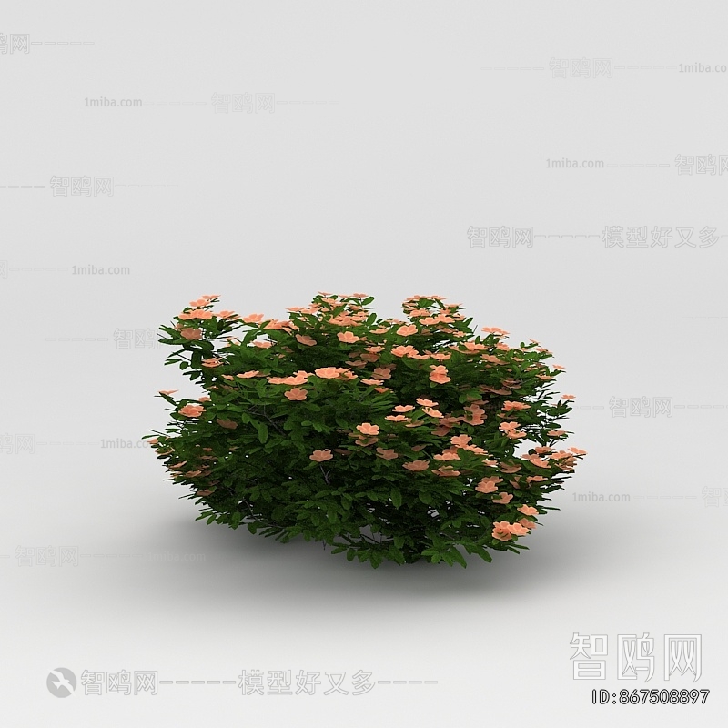 Modern Flowers And Grass