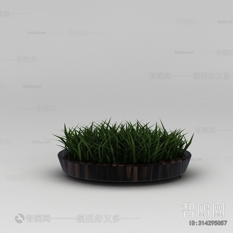 Modern Flower Bed, Flower Bowl, Flower Box