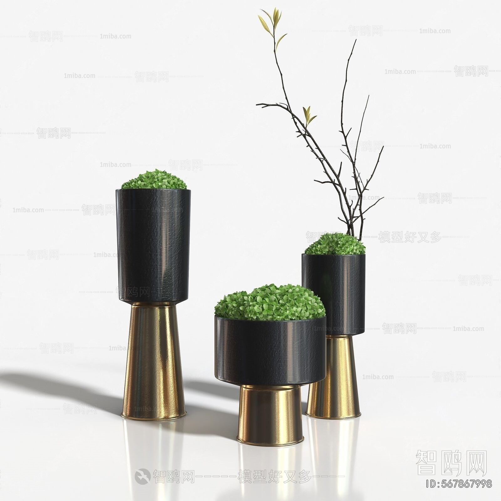 Modern Potted Green Plant