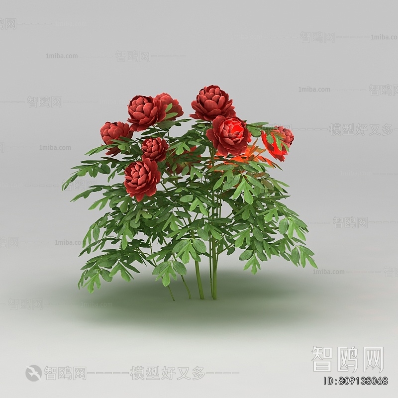 Modern Flowers And Grass