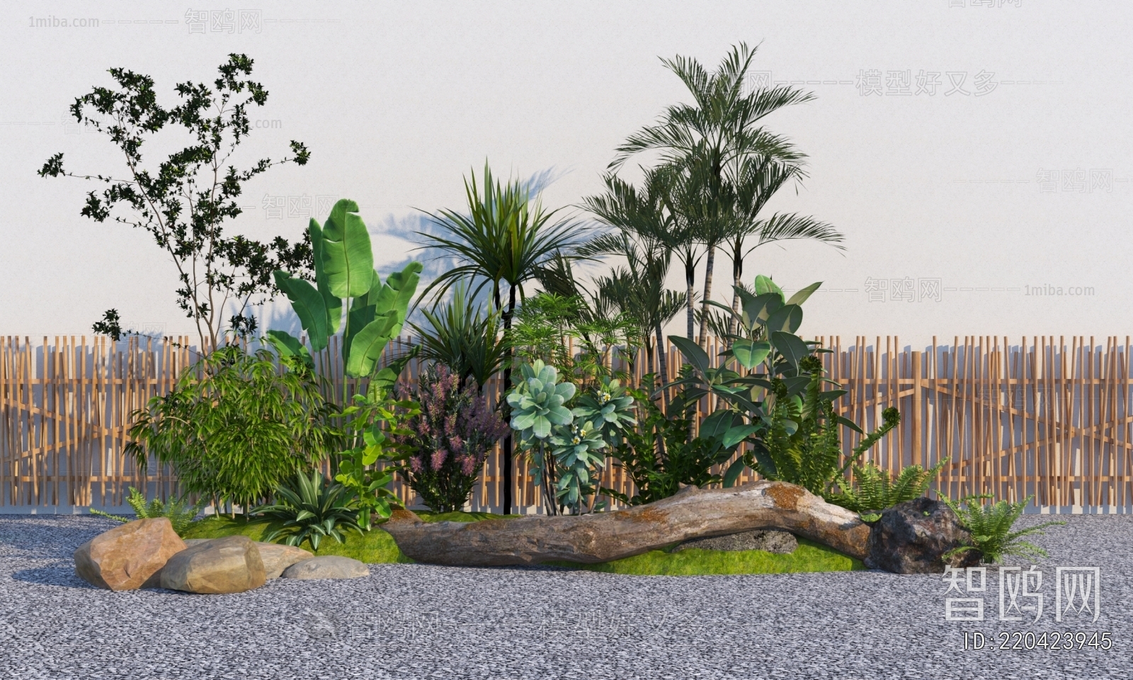 Modern Plant Landscaping