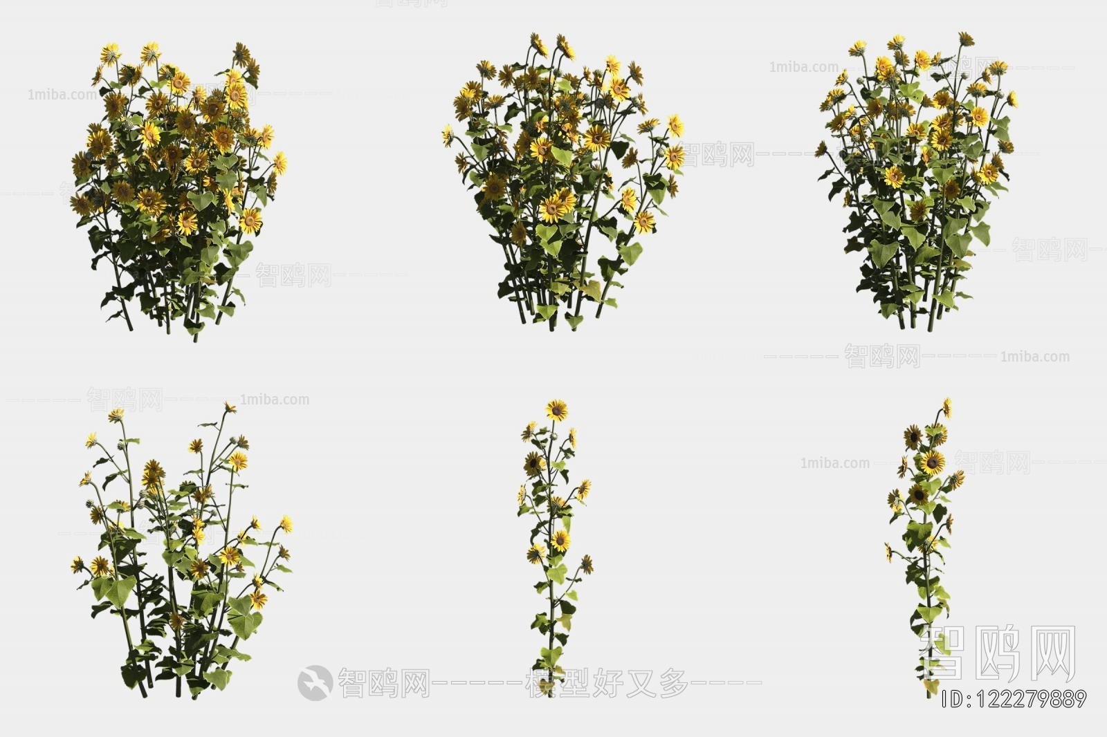 Modern Flowers And Grass