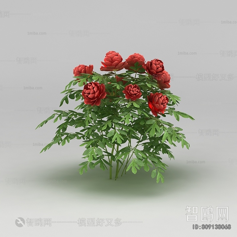 Modern Flowers And Grass