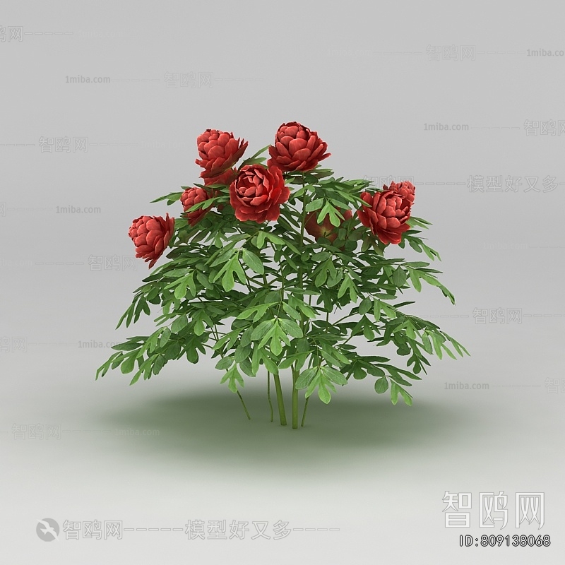 Modern Flowers And Grass