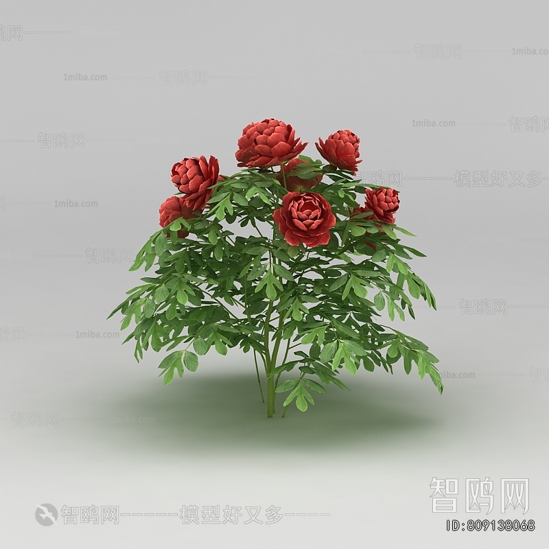 Modern Flowers And Grass