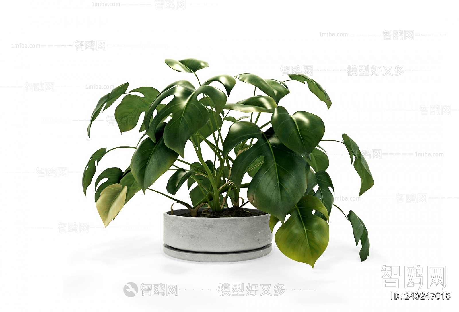 Modern Desktop Plant