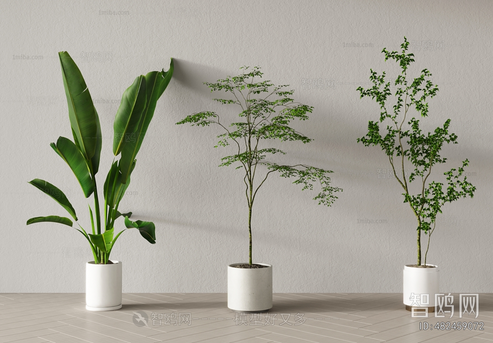 Modern Ground Green Plant Potted Plants