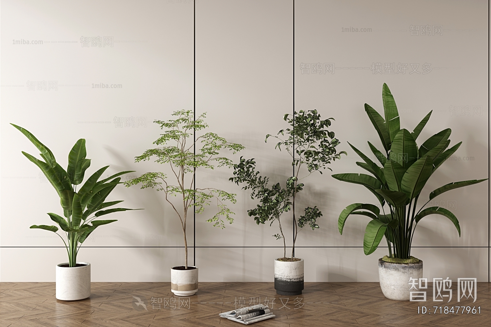 Modern Ground Green Plant Potted Plants