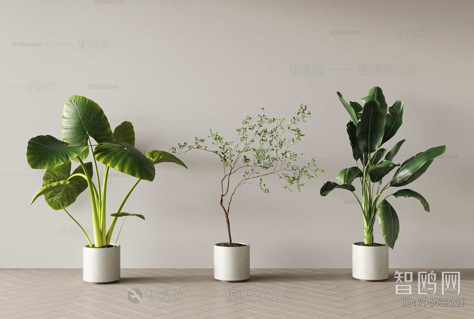 Modern Ground Green Plant Potted Plants