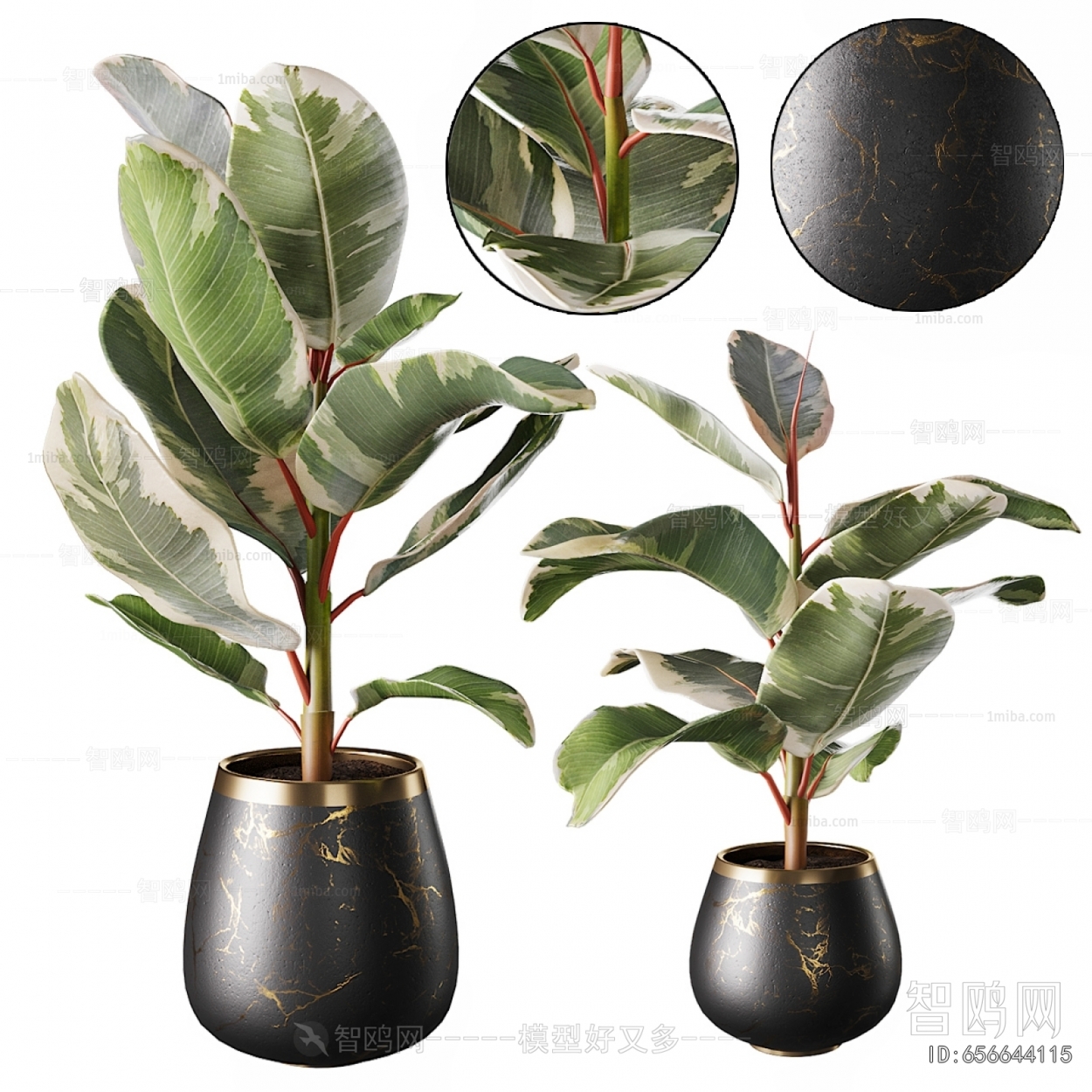 Modern Potted Green Plant