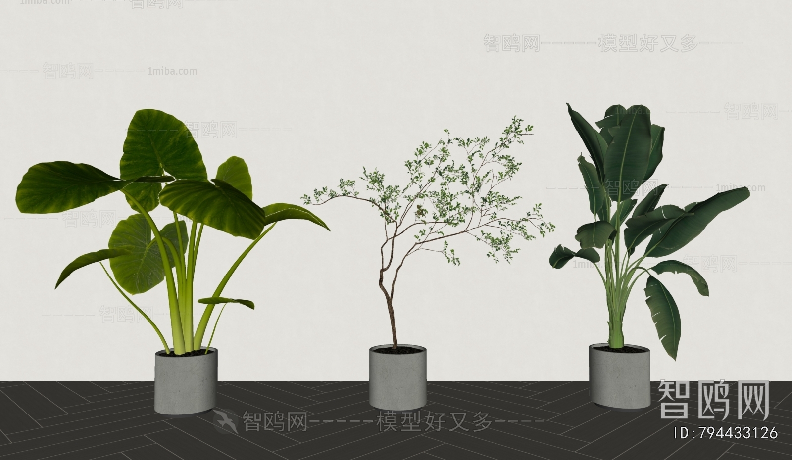 Modern Ground Green Plant Potted Plants