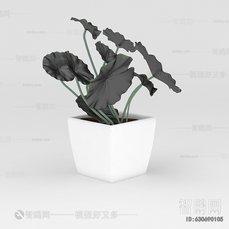 Modern Potted Green Plant