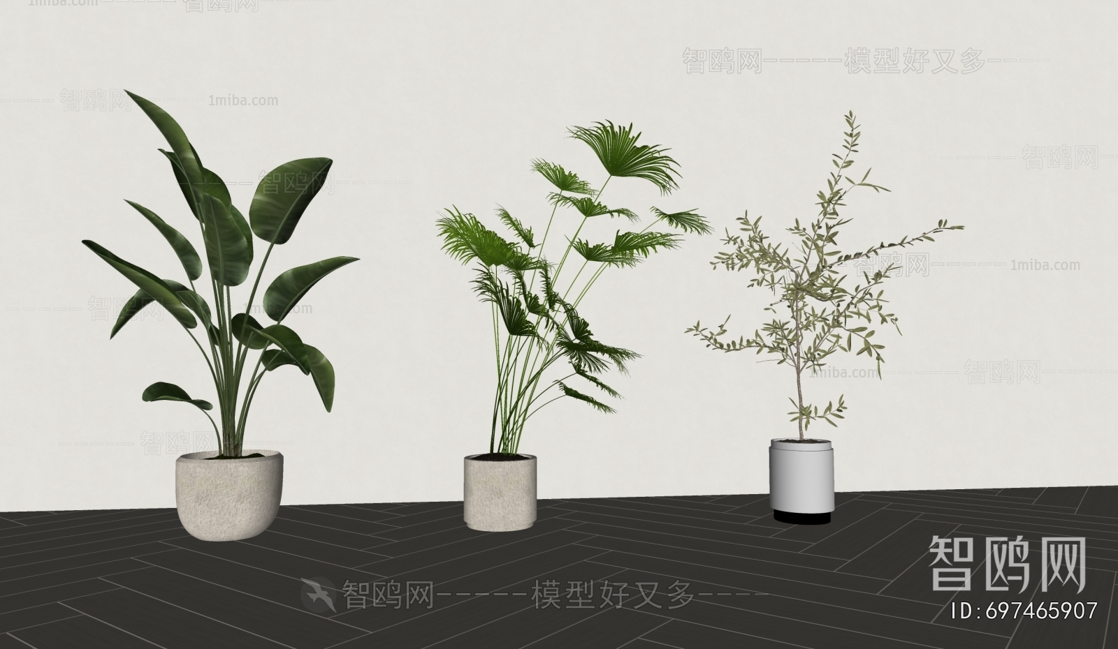 Modern Ground Green Plant Potted Plants