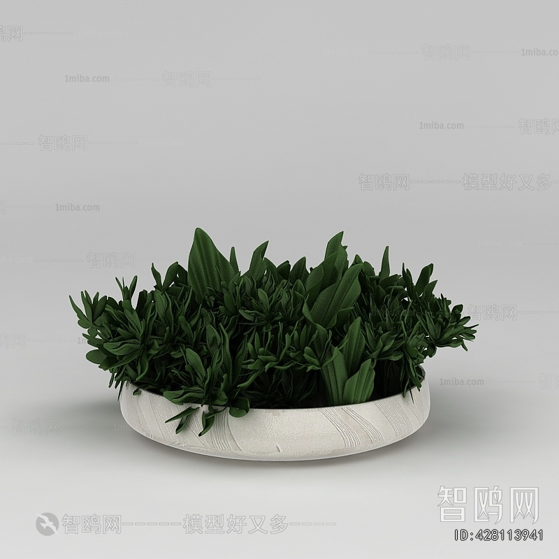Modern Potted Green Plant