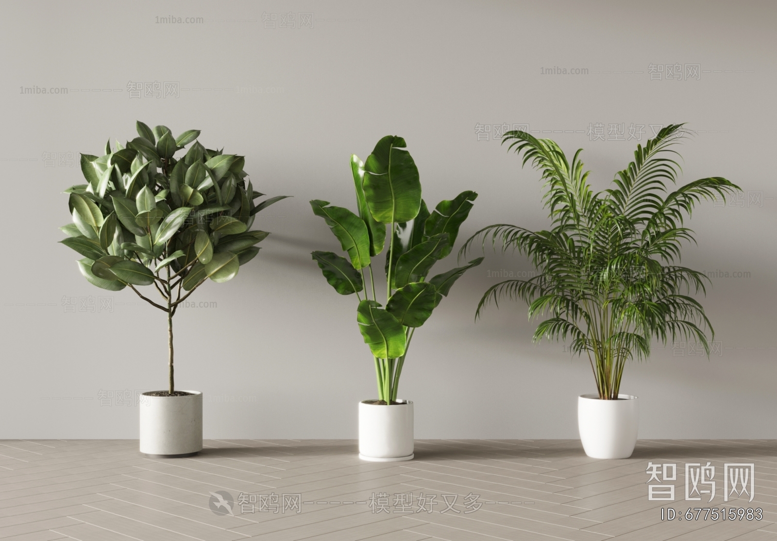 Modern Ground Green Plant Potted Plants