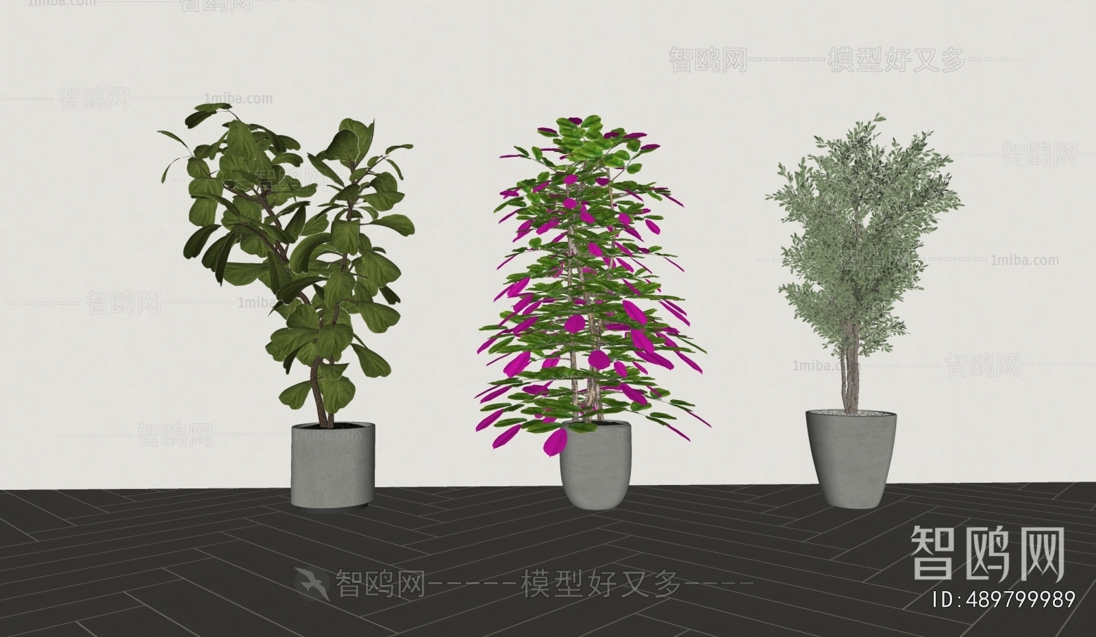 Modern Ground Green Plant Potted Plants