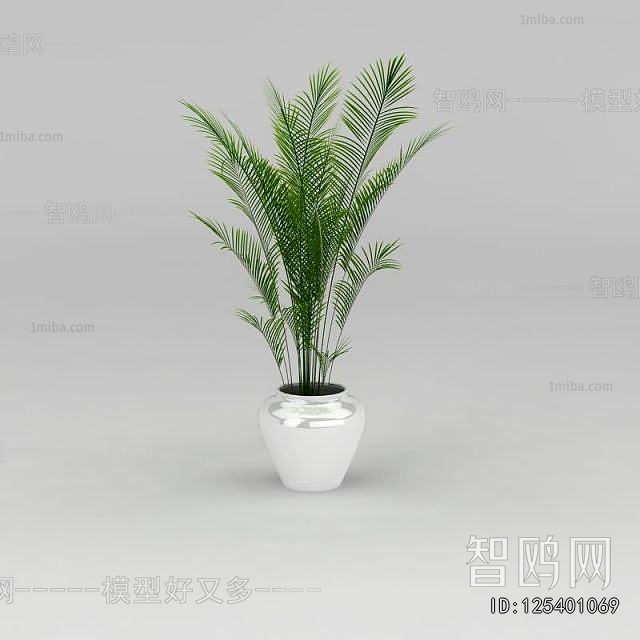 Modern Ground Green Plant Potted Plants