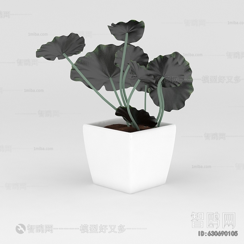 Modern Potted Green Plant