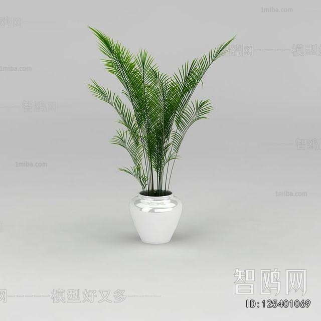 Modern Ground Green Plant Potted Plants