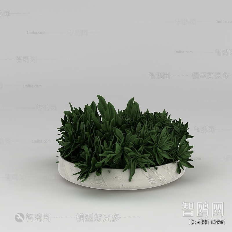Modern Potted Green Plant