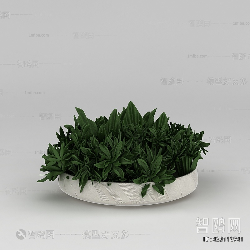 Modern Potted Green Plant